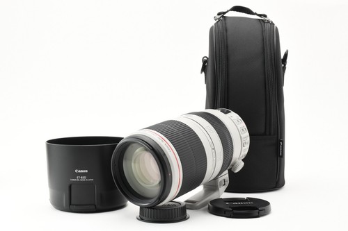 Canon 100 400 5 - ef, f/4.5-5.6