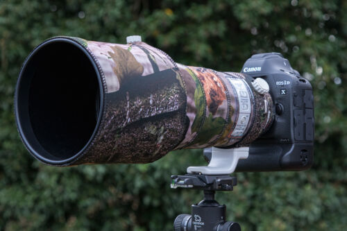 Canon 400mm l - ef, ii