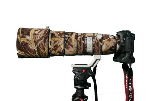 Canon 200 400mm l is - ef, f4